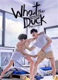 爱的着陆 第一季