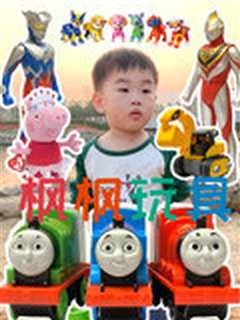 枫枫玩具