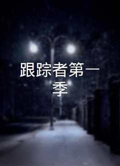 跟踪者第一季
