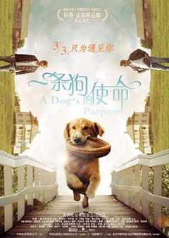 一条狗的使命(英语版)