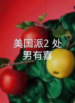 美国派2处男有喜