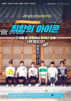 取向的iKON:One Summer Night