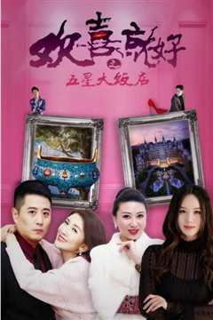 欢喜就好之五星大饭店
