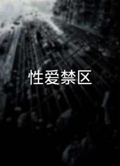 性爱禁区Destricted