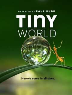 小小世界 第一季