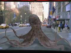 愚人善事第一季