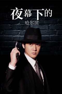夜幕下的哈尔滨