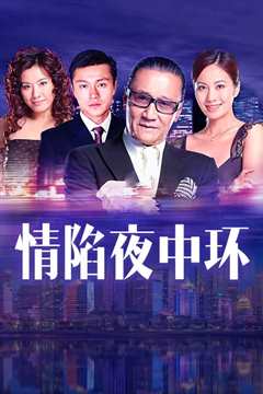 情陷夜中环1国语
