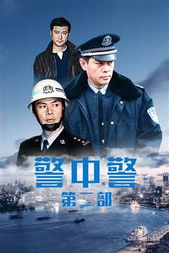 警中警2