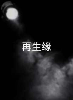 再生缘国语