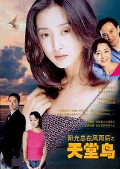 阳光总在风雨后之天堂鸟