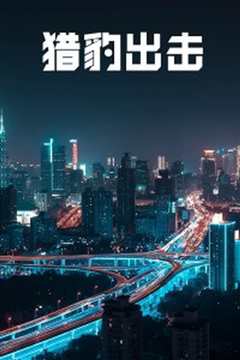 猎豹出击
