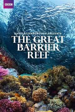 老爵爷的大堡礁之旅