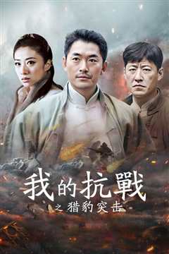 我的抗战之猎豹突击