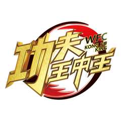 功夫王中王第三季