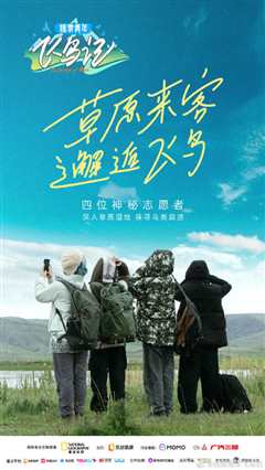 探索青年飞鸟记