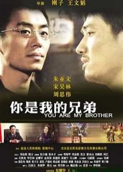 你是我的兄弟2010