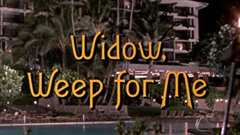 女作家与谋杀案第二季