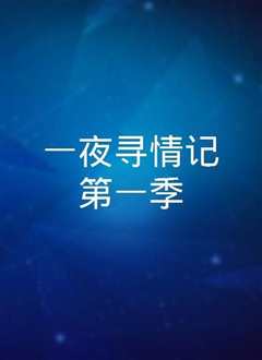 一夜寻情记第一季
