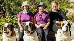 朝圣之路第二季