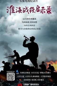 《淮海战役启示录》