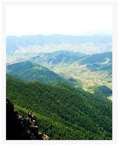 《浴血中条山》