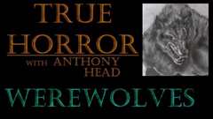 纪录片《第一日》