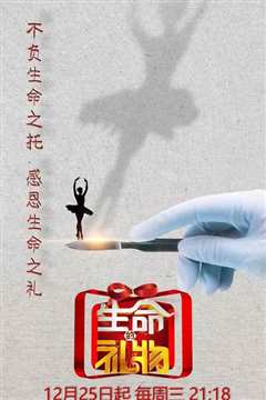 生命缘·生命的礼物第3季