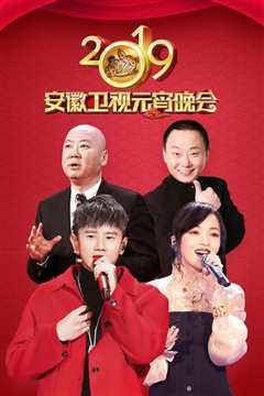 2019安徽卫视元宵晚会