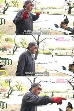 纪实72小时 上野公园 盛开的樱花