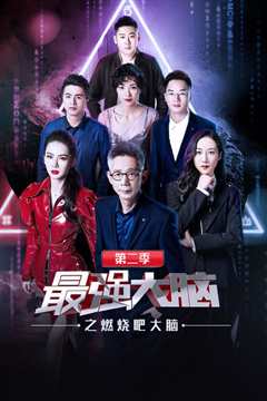 最强大脑之燃烧吧大脑第2季