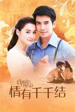 情有千千结 D