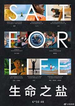 生命之盐