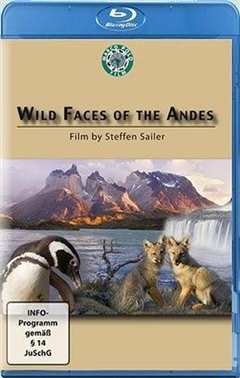 野性安第斯山脉