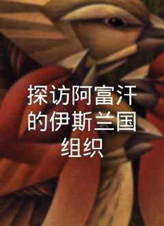 探访阿富汗的伊斯兰国组织