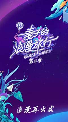 妻子的浪漫旅行第3季 VIP加长版