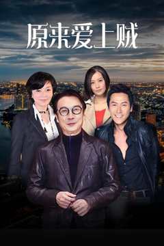 原来爱上贼国语