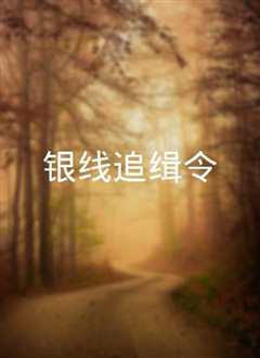 银线追缉令