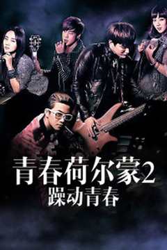 青春荷尔蒙2躁动时代