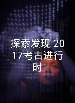 发现2017