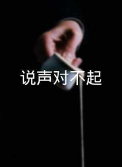 说声对不起