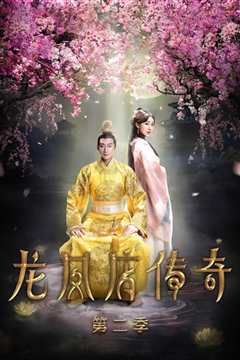 龙凤店传奇第1季