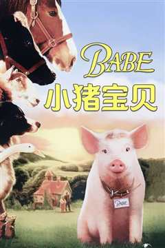 猪宝贝
