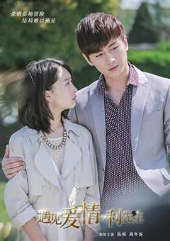 遇见爱情的利先生 未删减版