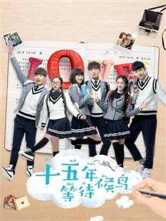 十五年等待候鸟 VIP青春典藏版