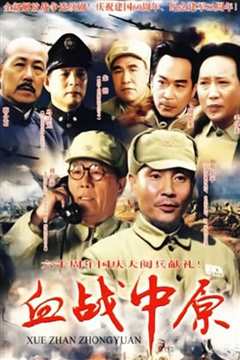 血战中原第2部