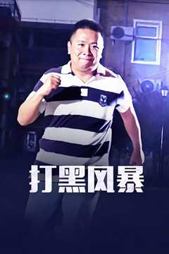 打黑风暴