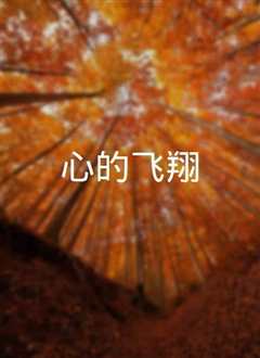心的飞翔