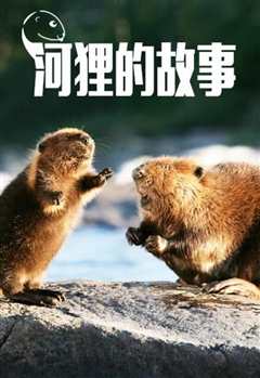 《河狸的故事