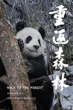 《重返森林》